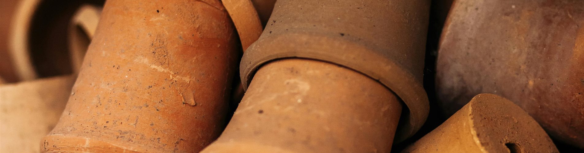 pexels-anna-khomutova-5780834