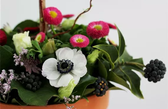 Pflanzservice micheile-henderson-xpWGvQL_AUQ-unsplash.jpg