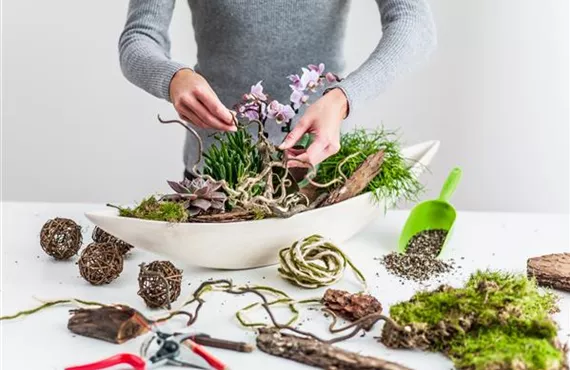 Pflanzservice Valentinstag 2-Arrangement_pf150127_p45-0572_CMYK Kopie.jpg Pflanzservice Valentinstag 2-Arrangement_pf150127_p45-0572_CMYK Kopie.jpg