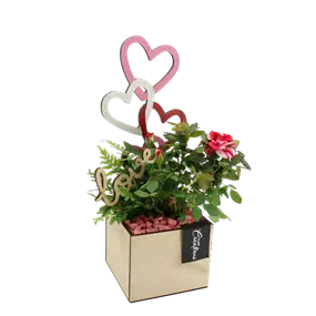 Arrangement 'Romantic Kiste I'