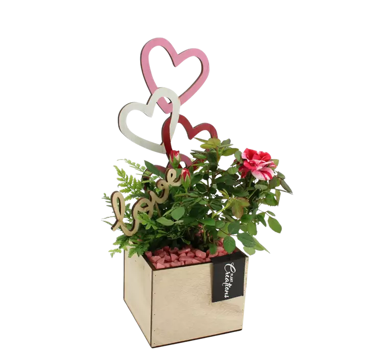 Arrangement 'Romantic Kiste I'