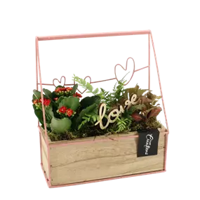 Arrangement 'Romantic Kiste II'