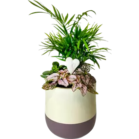 Arrangement 'Valentin I'