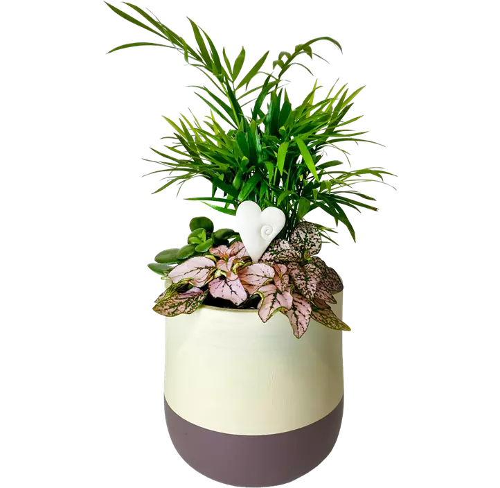 Arrangement 'Valentin I'