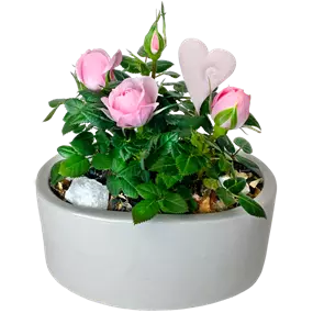 Arrangement 'Valentin II'