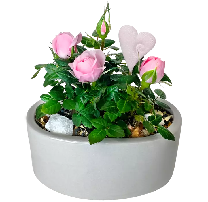 Arrangement 'Valentin II'