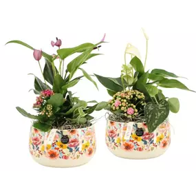 Arrangement 'Love I'