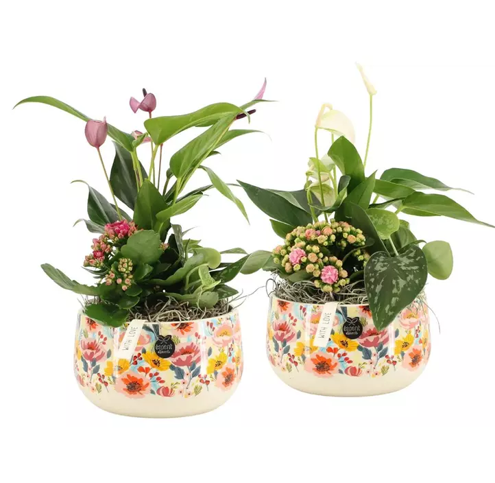 Arrangement 'Love I'