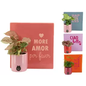 Arrangement 'Love II'