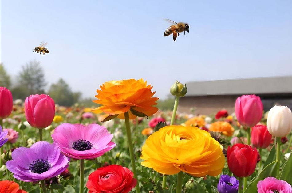Pflanzen für draußen