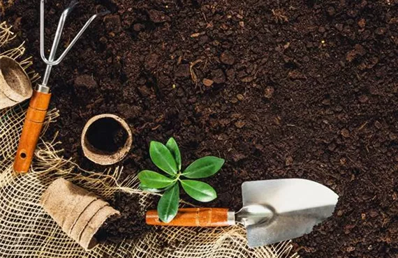 KW 8 Vorfrühling - Schritt 1.jpg