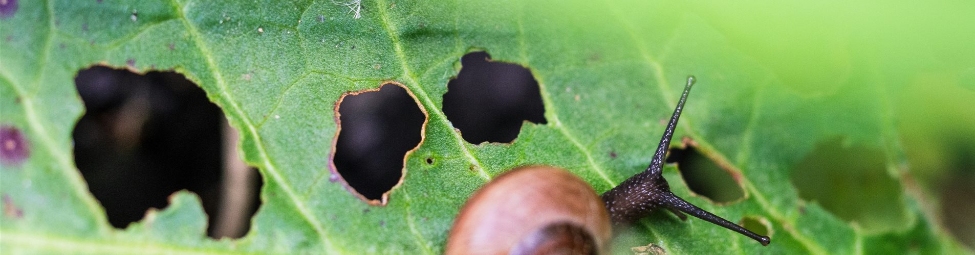 ante-hamersmit-8oT2MA33jsk-unsplash