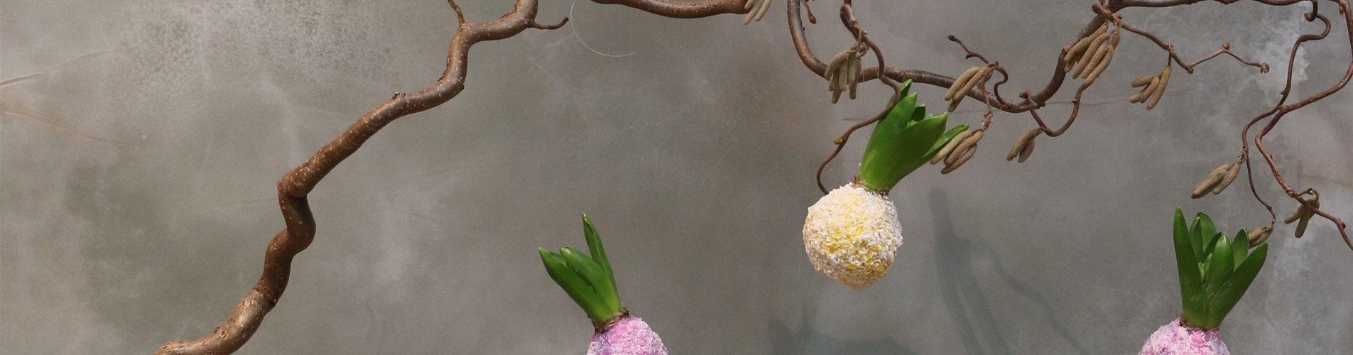 IMG_5025-85-2421-3464-1948 IMG_5025-85-2421-3464-1948