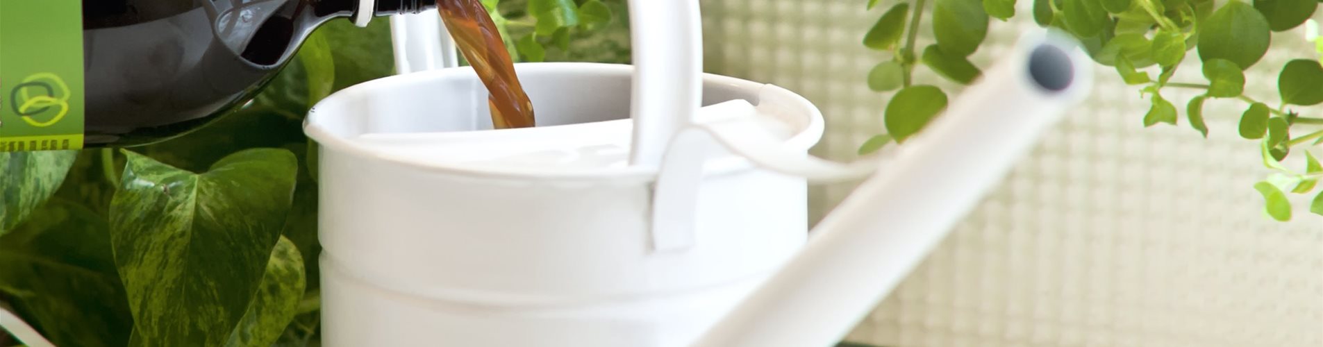 bellaflora_Effektive_Mikroorganismen__P-1059-1010-2812-1581 bellaflora_Effektive_Mikroorganismen__P-1059-1010-2812-1581