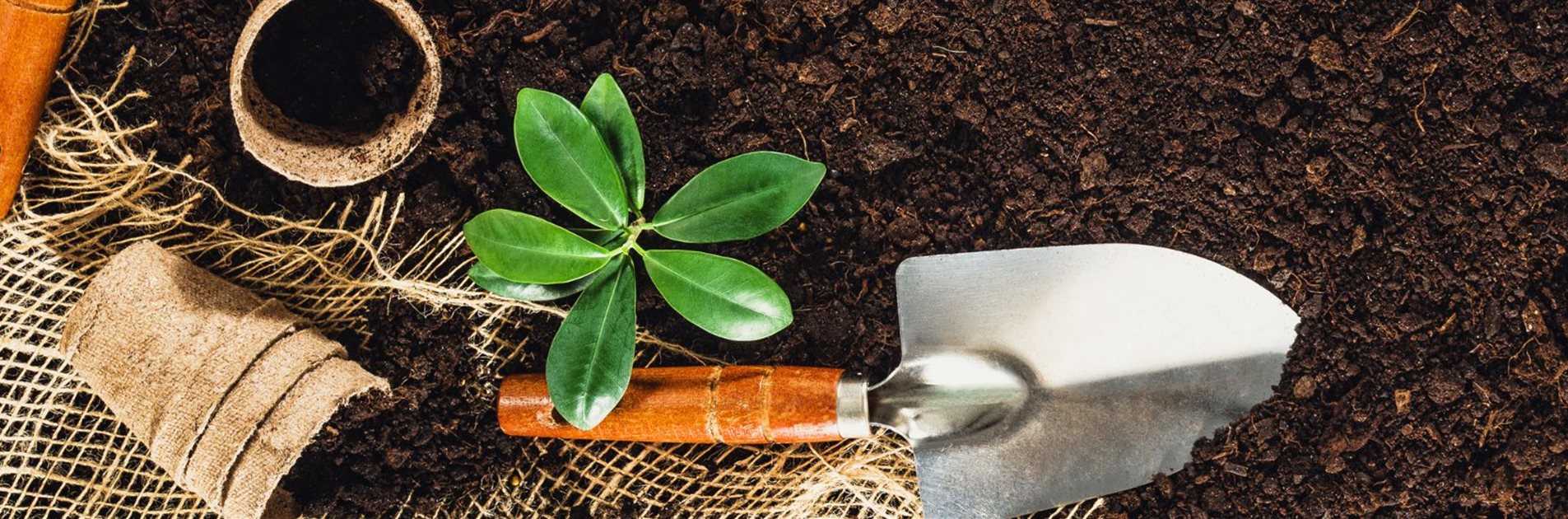 Vorbereitung auf die Frühlingssaison Vorbereitung auf die Frühlingssaison