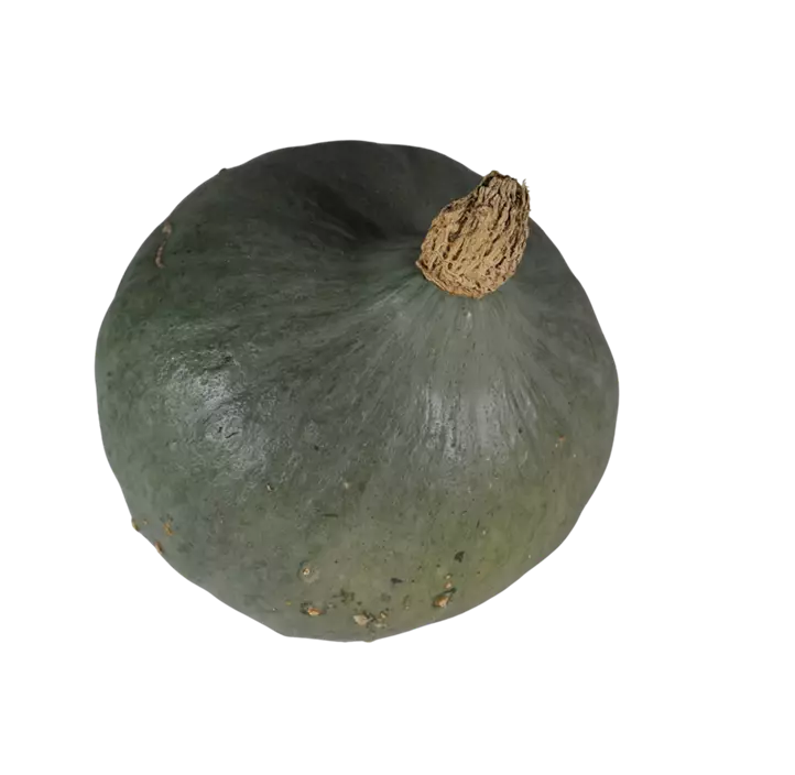 Speisekürbis Blue Ballet