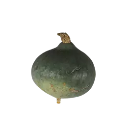 Speisekürbis Blue Ballet