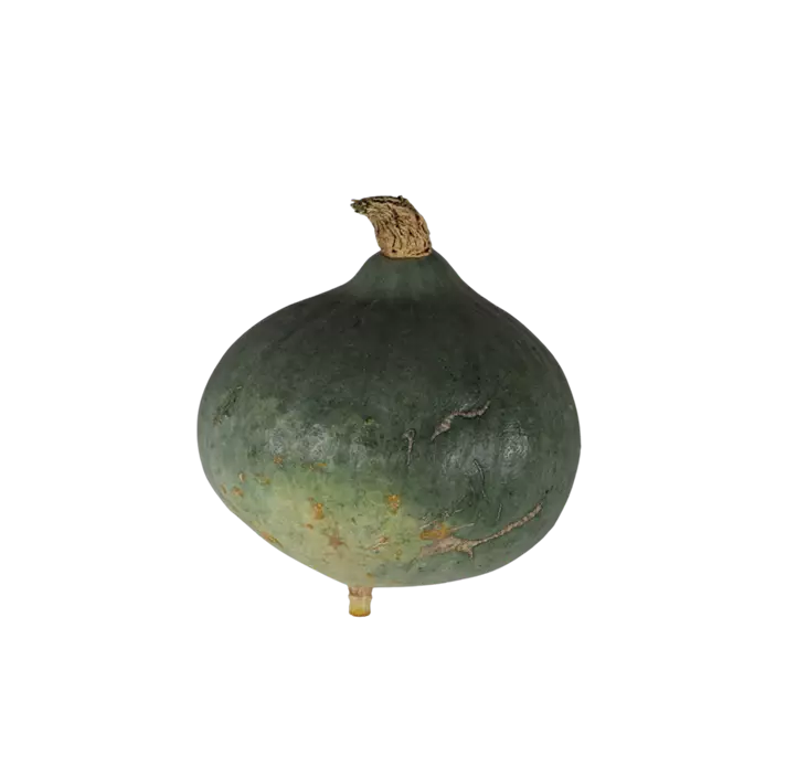 Speisekürbis Blue Ballet