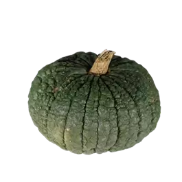 Speisekürbis Buen Gusto