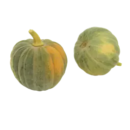 Speisekürbis Futsu black rinded
