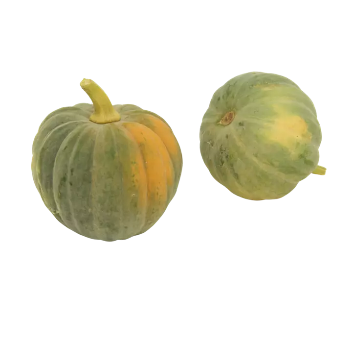 Speisekürbis Futsu black rinded