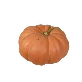 Speisekürbis Garbo