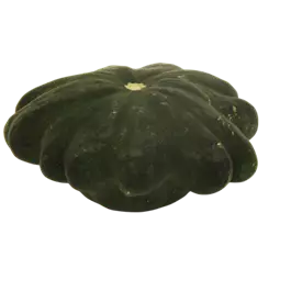 Speisekürbis Pattisson Mix