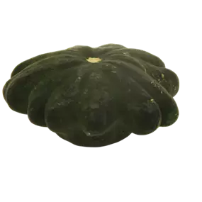 Speisekürbis Pattisson Mix