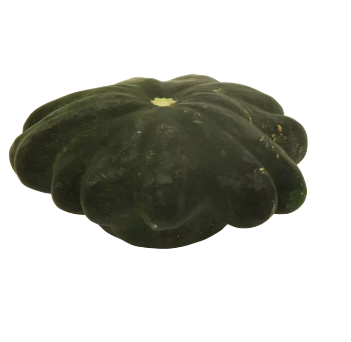 Speisekürbis Pattisson Mix