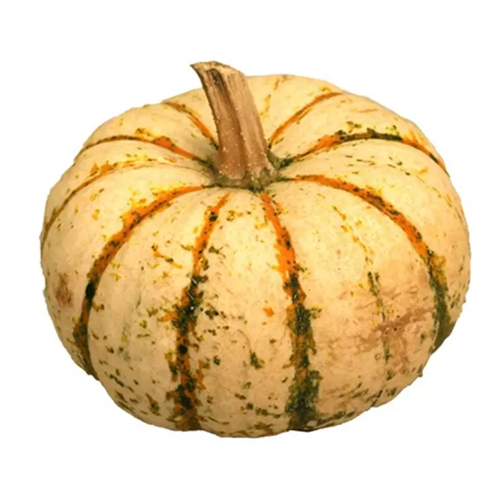 Speisekürbis Sam Bicolor/Pump Ke Mon