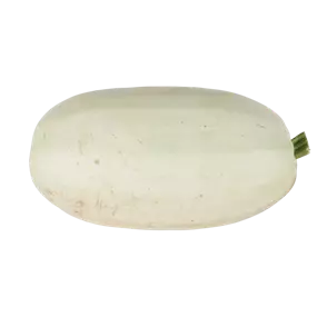 Speisekürbis Spagetti Spuash