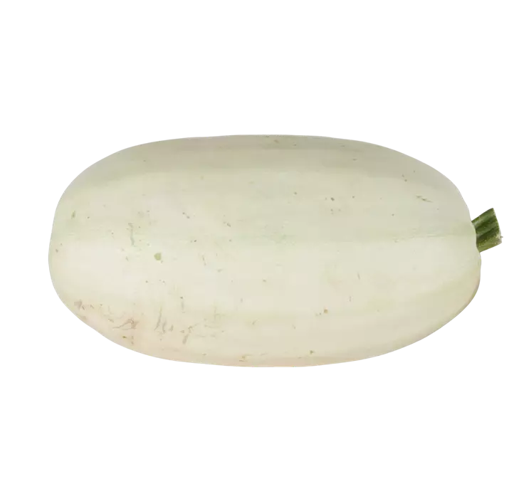 Speisekürbis Spagetti Spuash