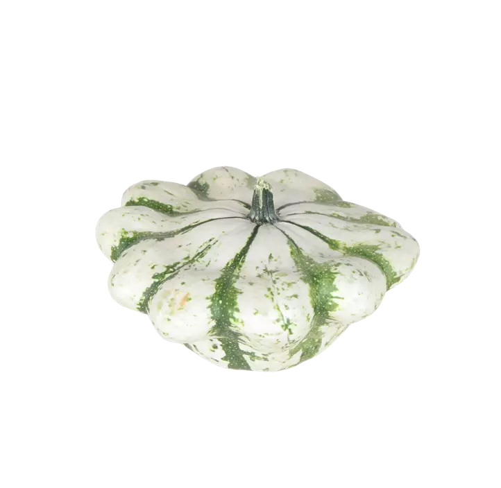 Speisekürbis Vert Blanc