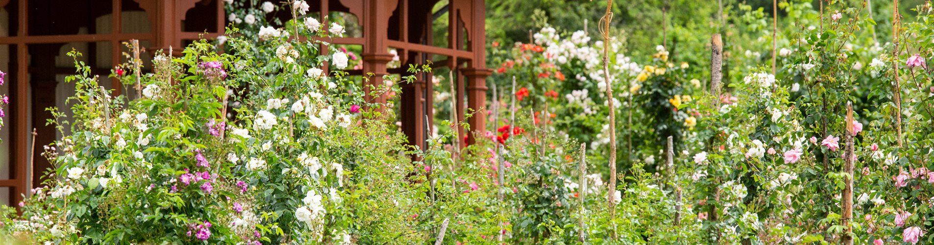 Pavillon im Rosengarten Pavillon im Rosengarten