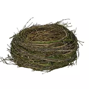 Nest