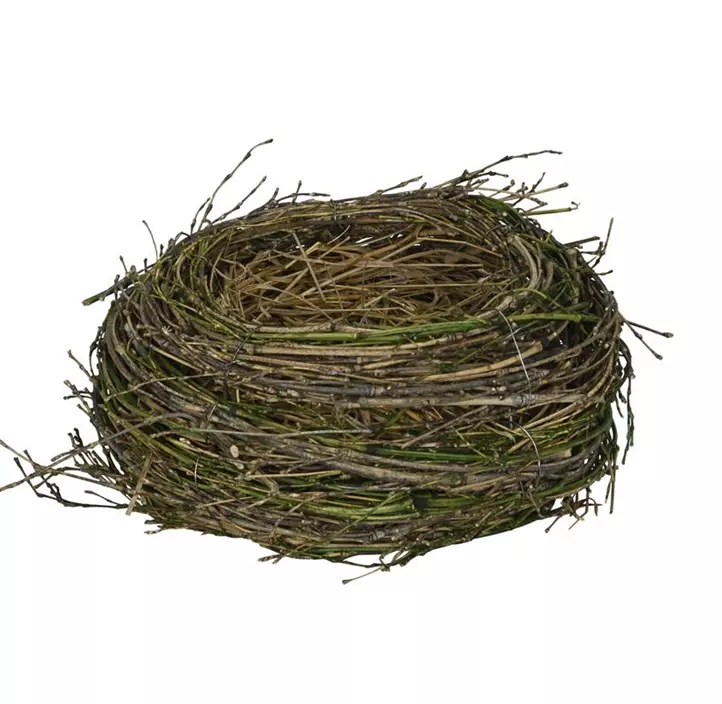 Nest