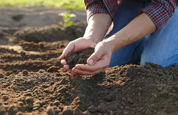 KW 11 + 12 Biologischer Garten Bild Schritt 4.jpg
