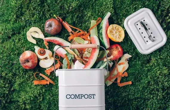 KW 11 + 12 Biologischer Garten Bild Schritt 6.jpg