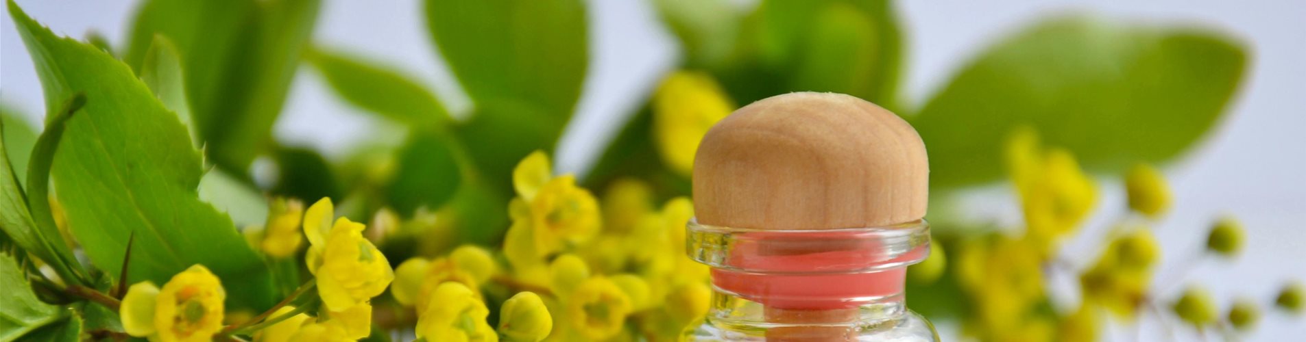 pexels-mareefe-5378790-0-47-4416-2484 pexels-mareefe-5378790-0-47-4416-2484