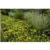 bellaflora Gartencenter GmbH