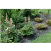 bellaflora Gartencenter GmbH