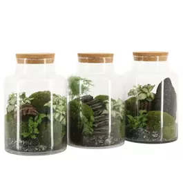 Landscape terrarium