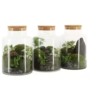Landscape terrarium