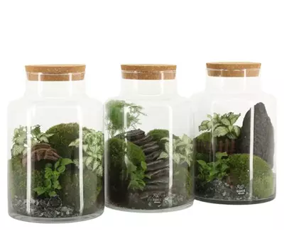 Landscape terrarium