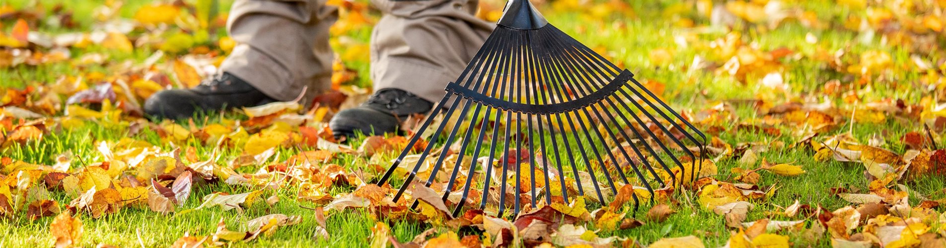 GS692984_Gartengeräte - Laubrechen_-0-0-6285-3535 GS692984_Gartengeräte - Laubrechen_-0-0-6285-3535