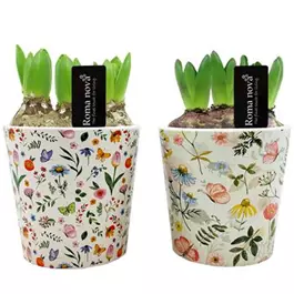 Arrangement Bella Bloom