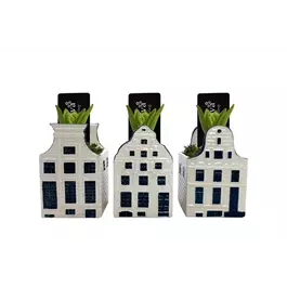 Arrangement Bold Blue House