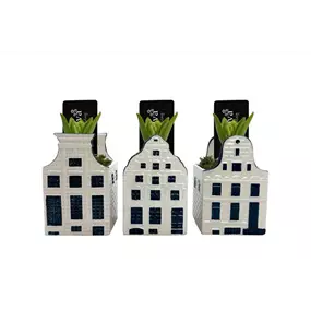 Arrangement Bold Blue House