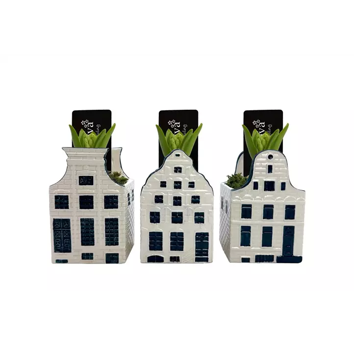 Arrangement Bold Blue House