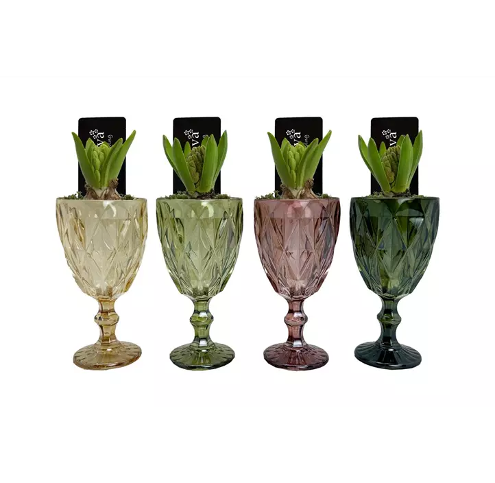 Arrangement Timeless Toast